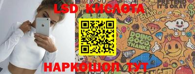 spice Камышлов