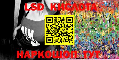 spice Камышлов